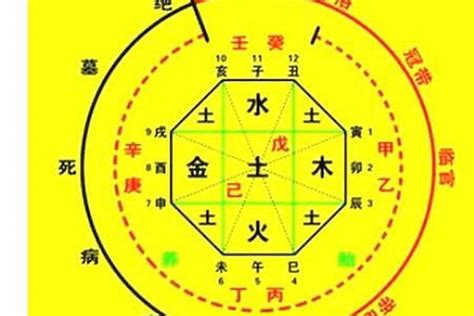 八字 喜忌|生辰八字喜用神查询